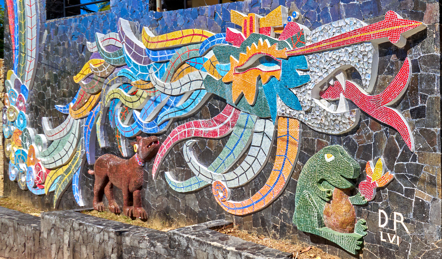Diego Rivera - DSC02816 - ene 15 2025.png